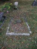 image of grave number 417161